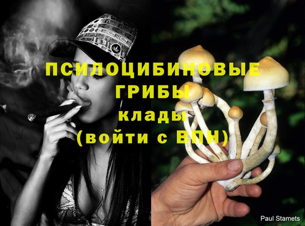 ешки Балахна