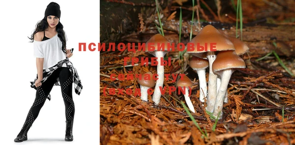 ешки Балахна