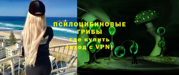 шишки Баксан