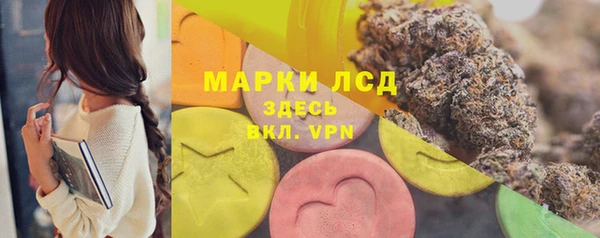шишки Баксан