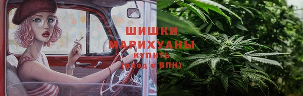 шишки Баксан
