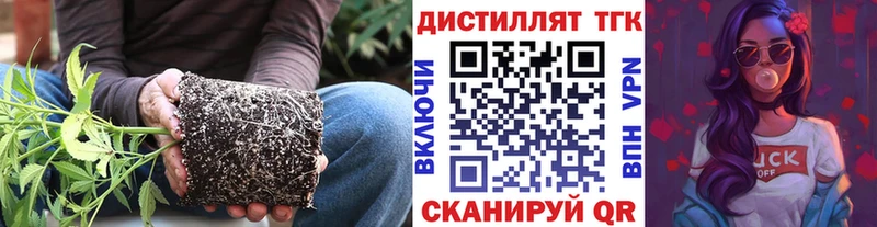 ТГК жижа  kraken маркетплейс  Черняховск 