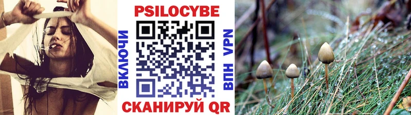 Псилоцибиновые грибы прущие грибы  кракен вход  Черняховск  как найти закладки 